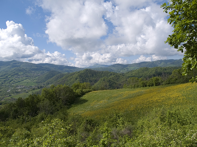 Oasi naturalistica del Carmine